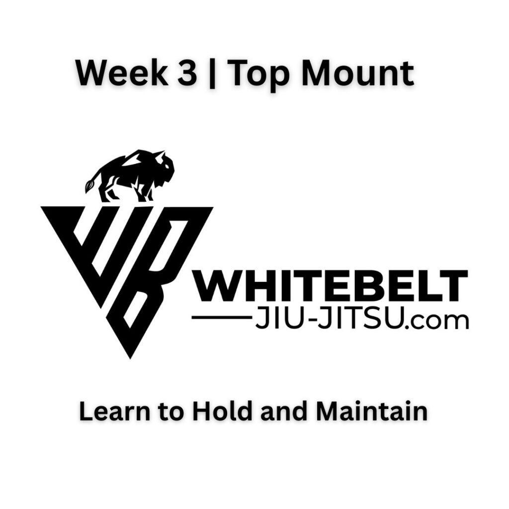 Module 1 – Week 3 BJJ Mount Control training for white belt beginners