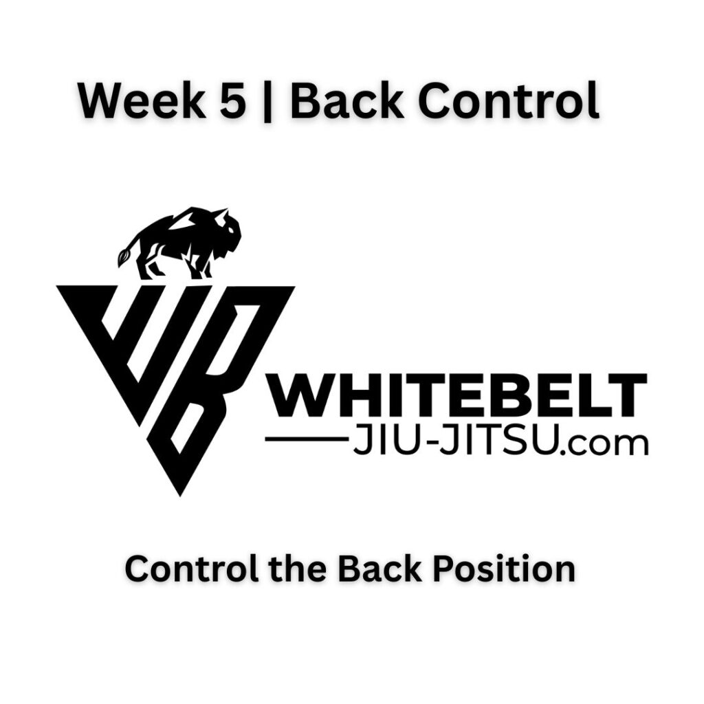 White Belt BJJ Module 1 – Learn the fundamental positions and escapes in Brazilian Jiu Jitsu