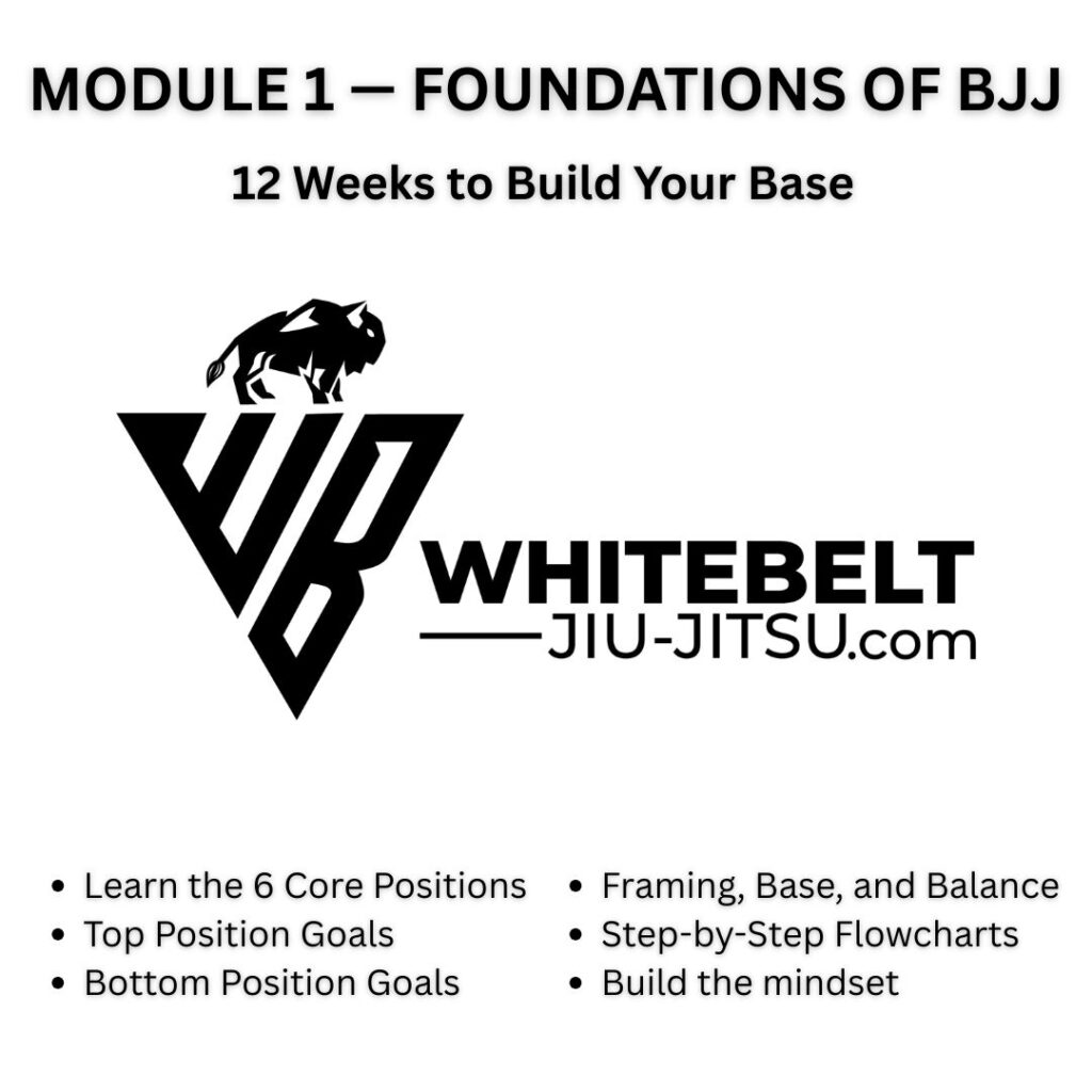 White Belt BJJ Module 1 graphic showing the fundamental goals of major positions for beginners in Brazilian Jiu Jitsu